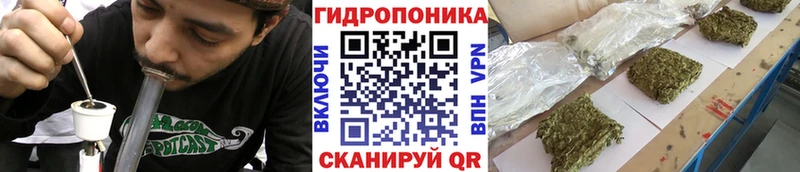 Виды наркоты Бологое СК COCAIN Меф мяу мяу Каннабис Гашиш