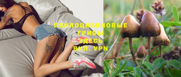 синтетический гашиш Алексеевка